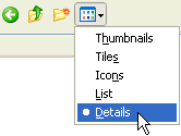 Enable folder details